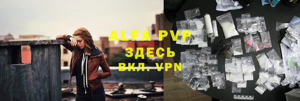СК Елизово