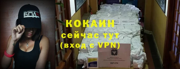 ГАЛЛЮЦИНОГЕННЫЕ ГРИБЫ Сатка