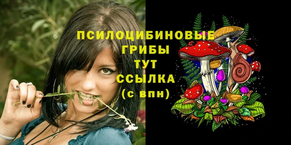 ГАЛЛЮЦИНОГЕННЫЕ ГРИБЫ Сатка