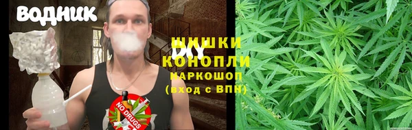 СК Елизово