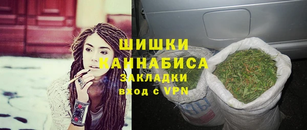 индика Ростов
